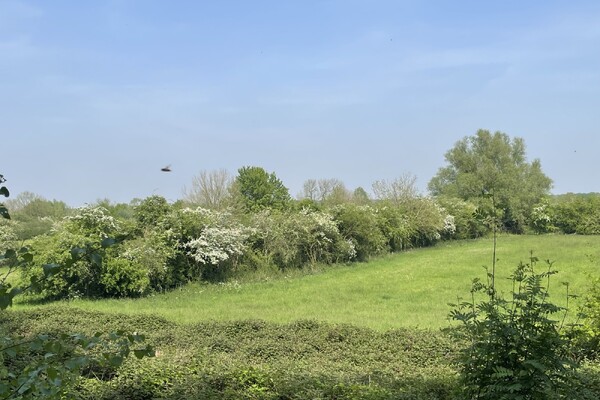 The oldest cultural landscape of the Netherlands