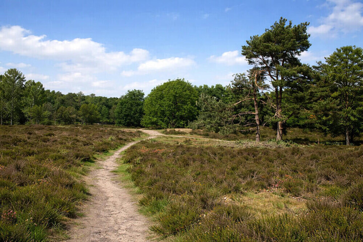 Wanderroute Overloonse Duinen