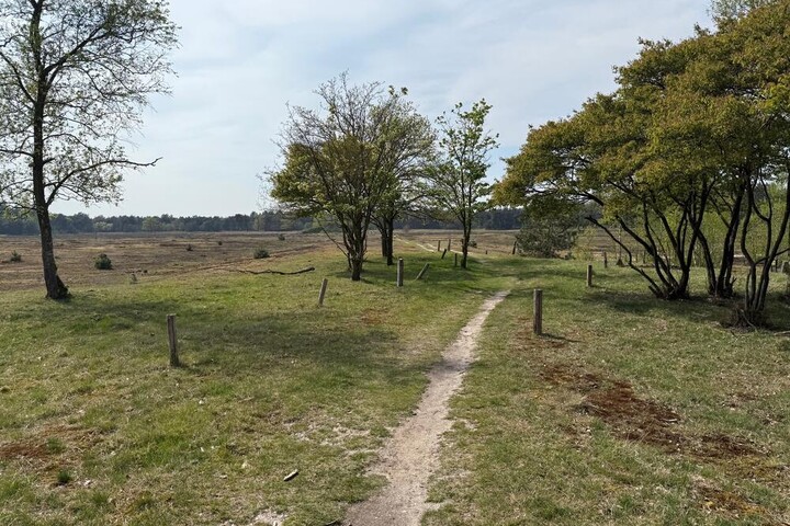 Golden Route along the Silver Sea