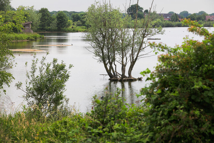 Nature Gateway De Bungelaer: Kraaijenbergse Plassen-Runde