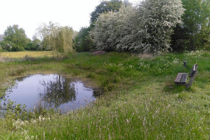 Meadow, hedge and forest path