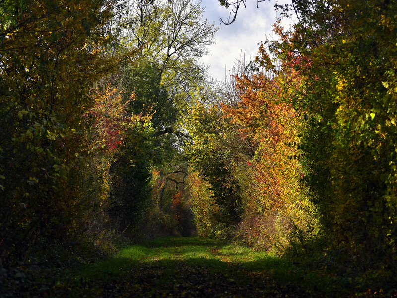 Natur genießen