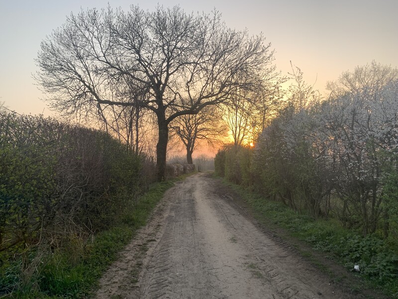 Natur genießen