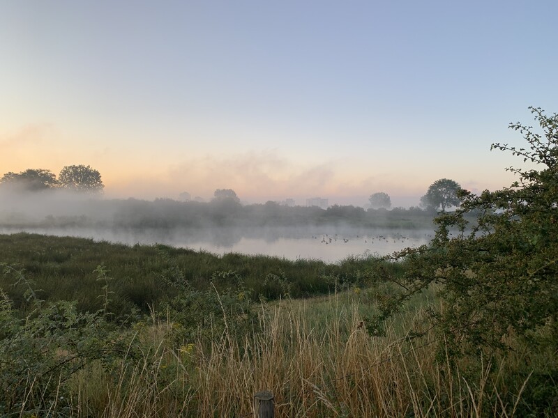 Natur genießen