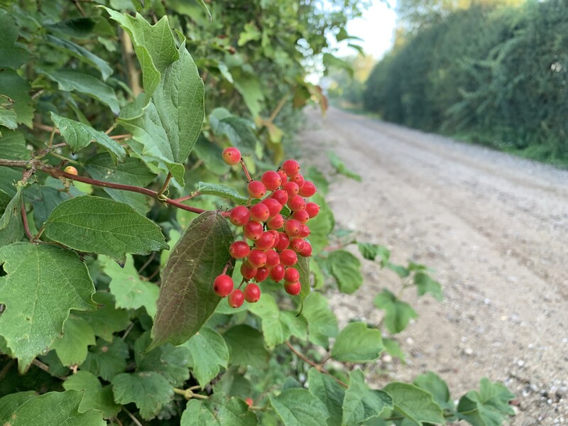 Natur genießen