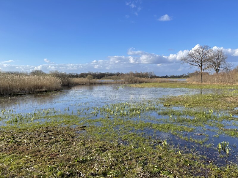 Natur genießen