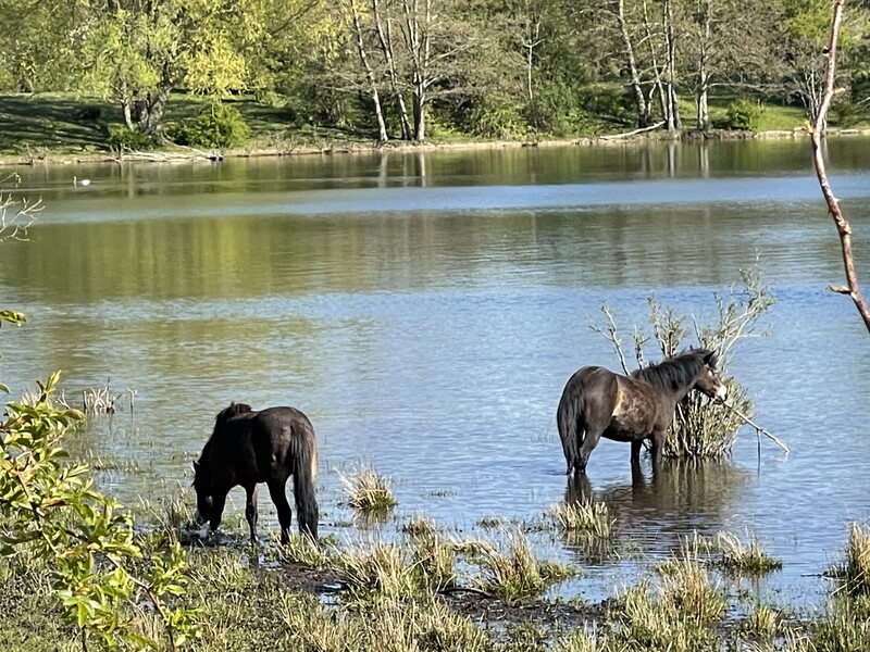 Into nature