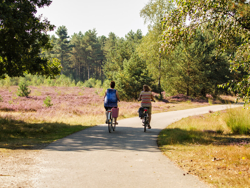 Cycling routes