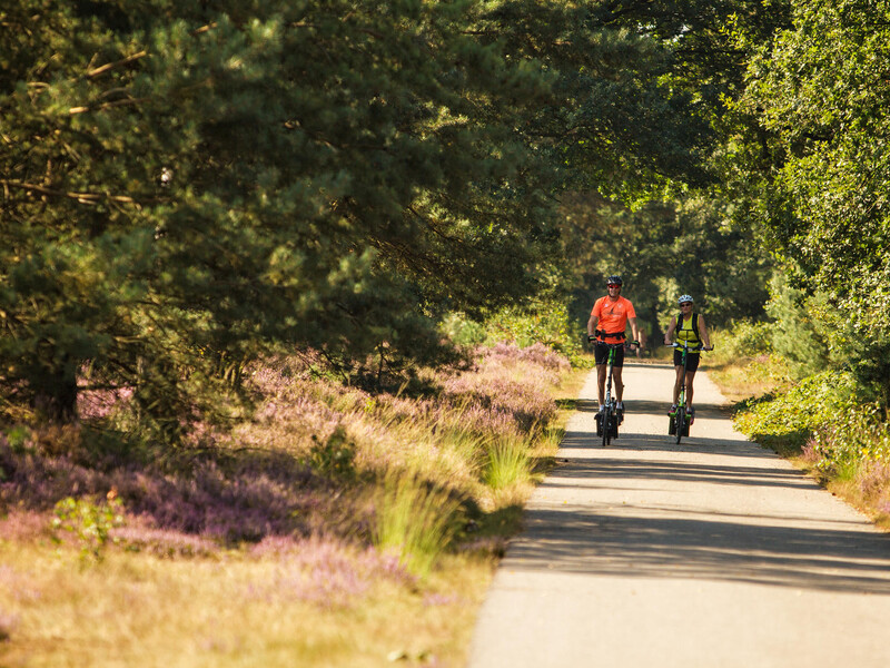 Radeln und Wandern im Land van Cuijk