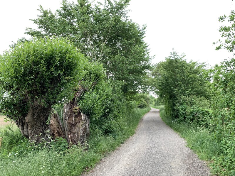 Cycling & walking in the Land van Cuijk