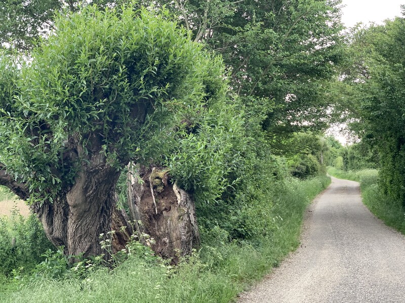 Natur genießen