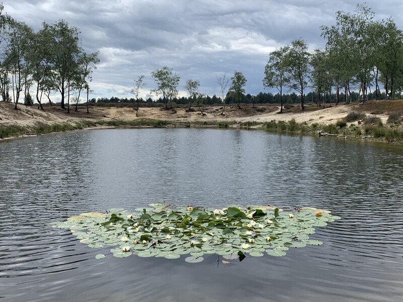 Natur genießen