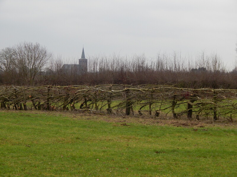 Castles and Monasteries in the Land van Cuijk