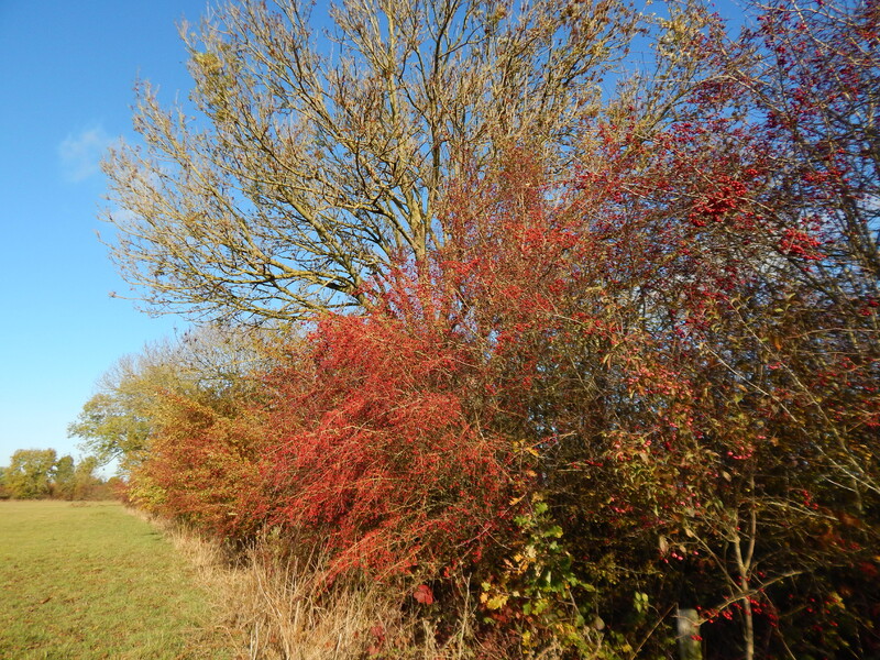 Natur genießen