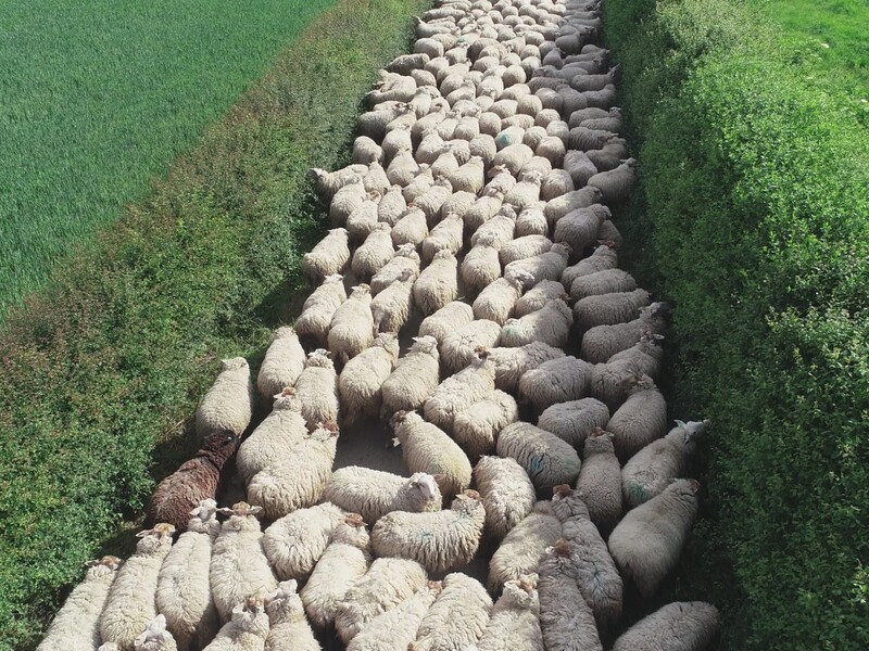 UNESCO-Biosphärenreservat  <br>Maasheggen im Land van Cuijk