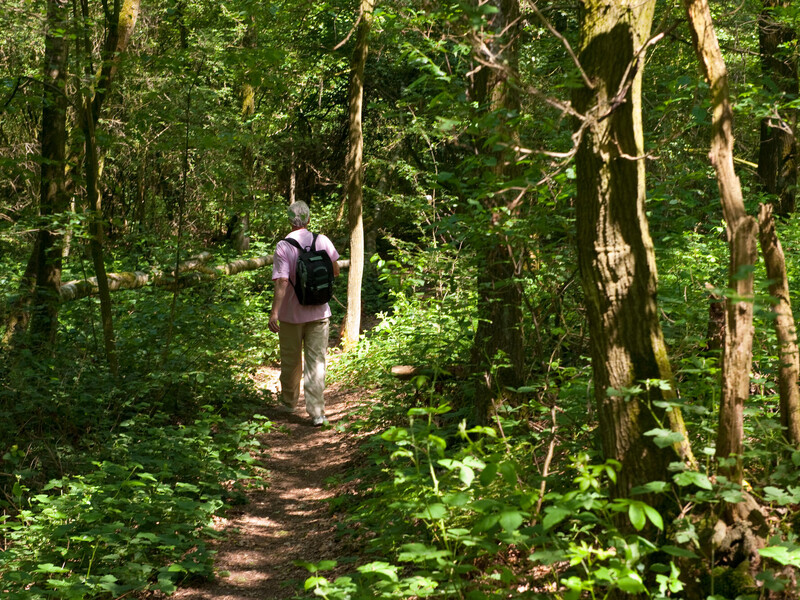 Radeln und Wandern im Land van Cuijk