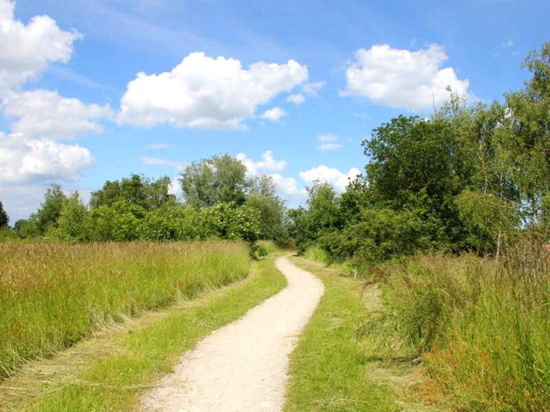 Natur genießen