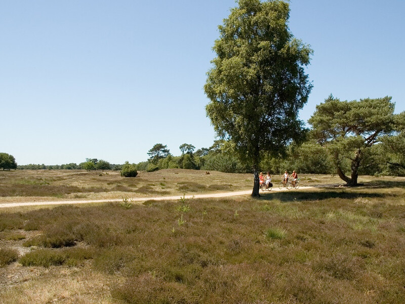 Cycling & walking in the Land van Cuijk